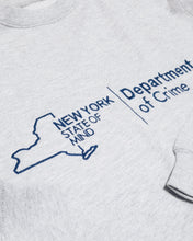 Load image into Gallery viewer, &quot;WELL ENSURED&quot; CREWNECK